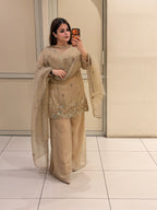 Beige Crush Tissue Embroidered Suit Set (M–XXL)