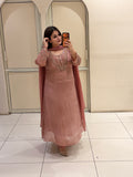 Blush Pink Chinon Embroidered Suit (L–XXL)