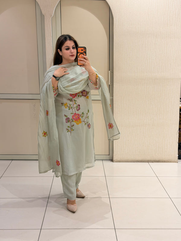 Pastel Green Pure Soft Organza Embroidered Suit (M–XXL)
