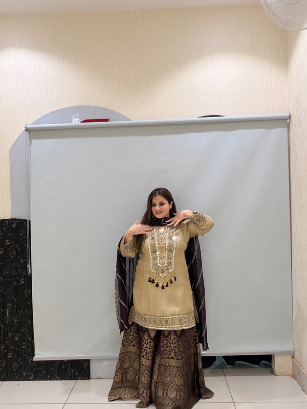 Beige & Brown Premium Fabric Partywear Dress (L–XXL)