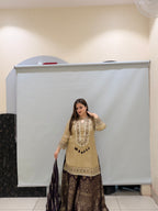 Beige & Brown Premium Fabric Partywear Dress (L–XXL)