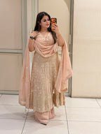 Blush Pink Heavy Embroidered Party Wear Suit Set