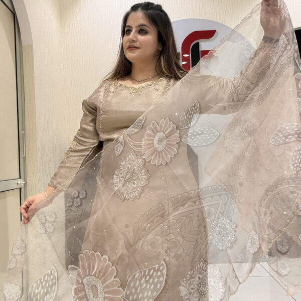 Beige Handwork Partywear Suit Set